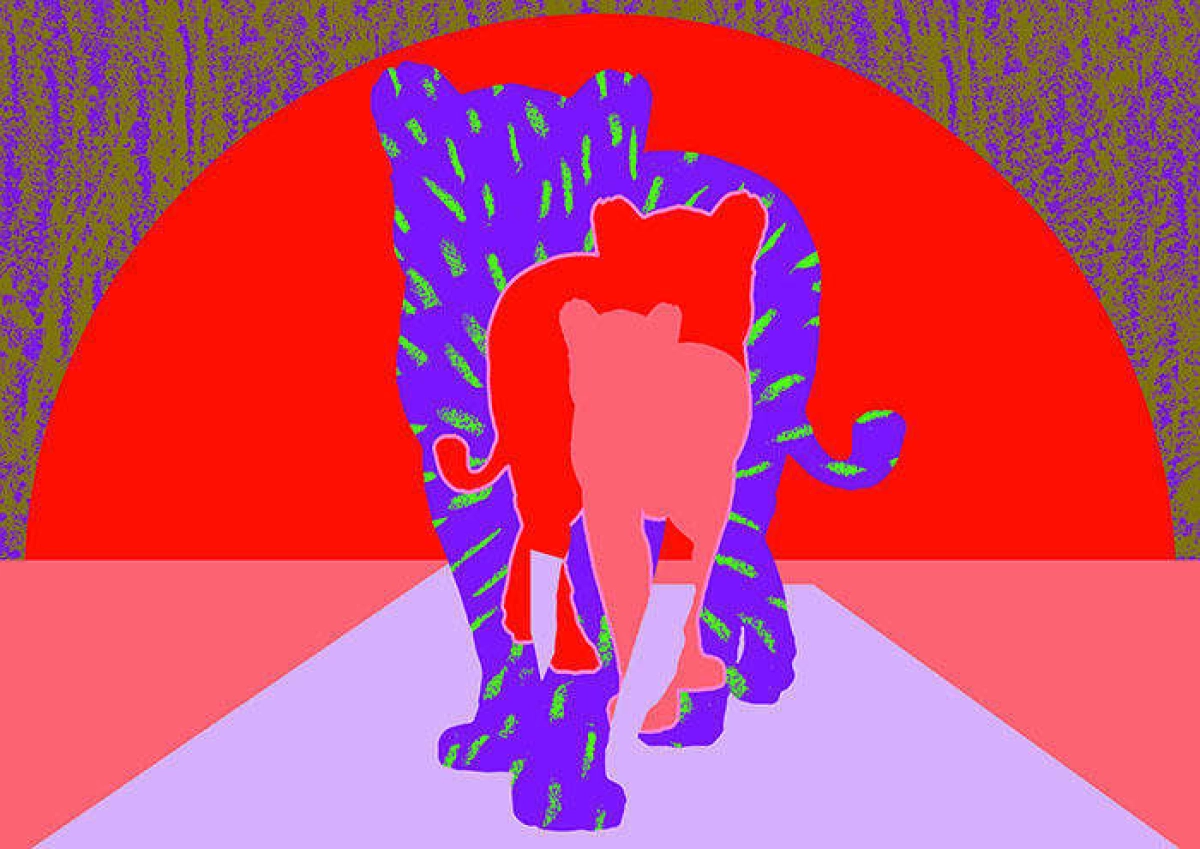 IFFR 2025